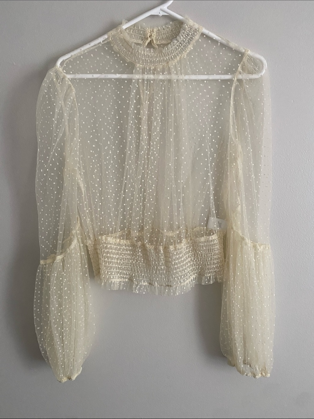 Fashion Nova Cream Sheer Swiss Dot Smocked Blouse
